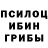 Галлюциногенные грибы мухоморы MR. Gameszavr
