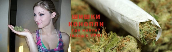 трава Абаза