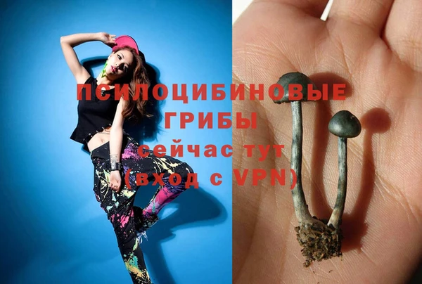 ECSTASY Алзамай
