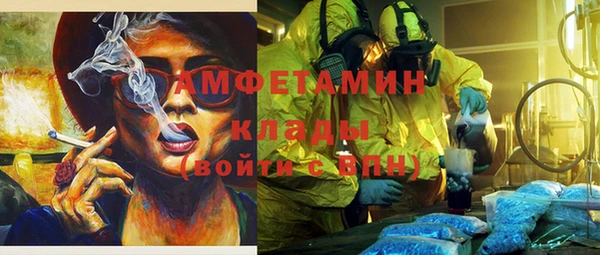 ECSTASY Алзамай