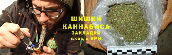 трава Абаза